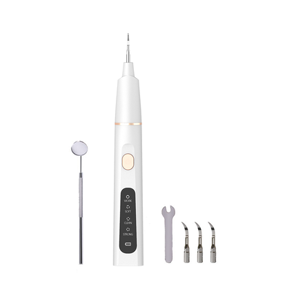 High Quality Cordless Stainless Steel Customizable Tartar Scale Removal Electric Dental Scaler for Home Use